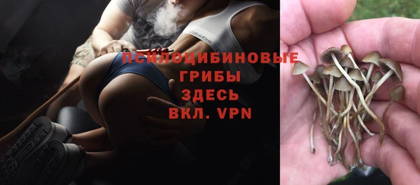 прущая мука Абаза