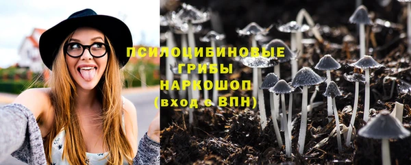 МДПВ Абдулино