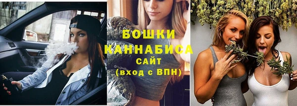 стафф Козловка