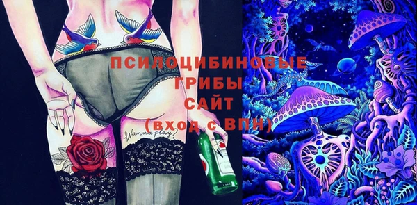 МДПВ Абдулино
