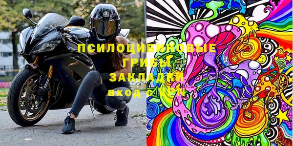 стафф Козловка
