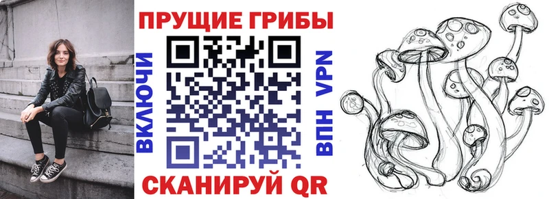 Псилоцибиновые грибы ЛСД  Комсомольск-на-Амуре 